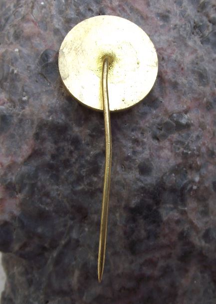 Brontosaurus Dinosaur Youth Organisation SSM of Czechoslovakia Members Pin Badge - Badgecrazy