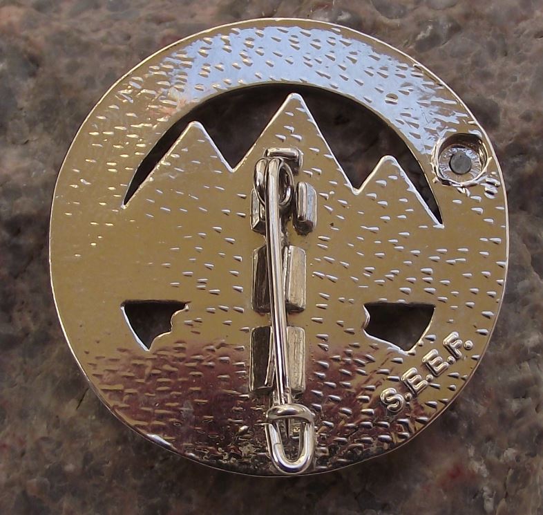 Cristal International ESI Ecol de Ski School Skiing Winter Sport Medal Pin Badge - Badgecrazy