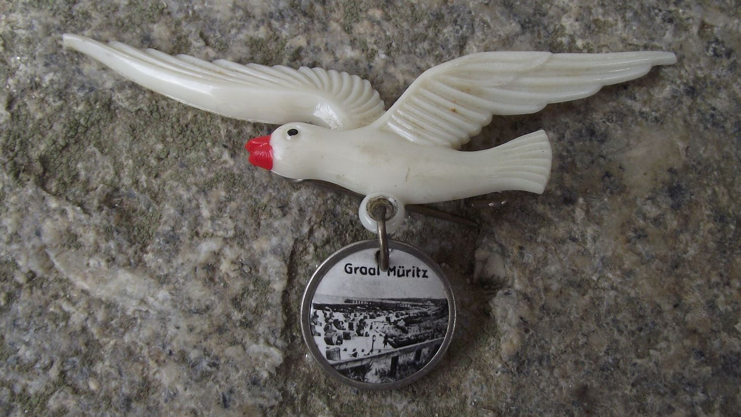 Graal Muritz Seeheilbad Baltic Sea Health Resort Germany Seagull Bird Pin Badge - Badgecrazy