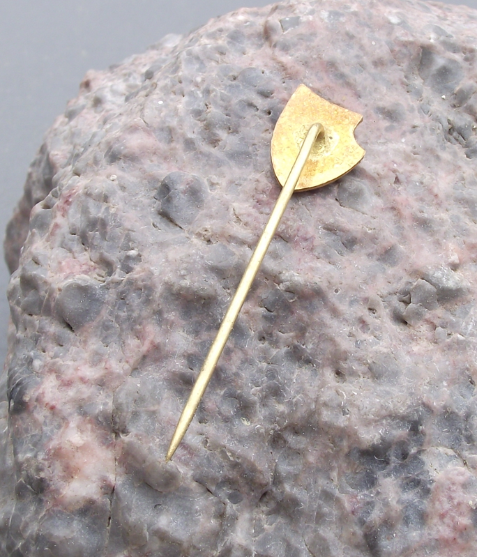 1969 Gymnazium Sumperk 50th Anniversary Czech High School Celebration Pin Badge - Badgecrazy