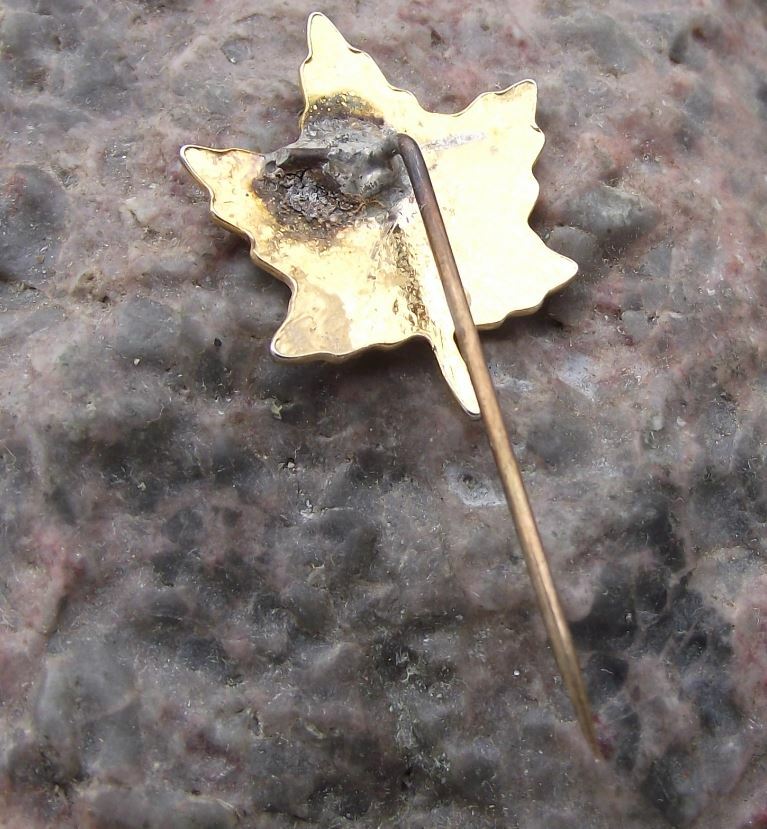 Antique Canada Maple Leaf Autumn Colours National Symbol Canadian Flag Pin Badge - Badgecrazy