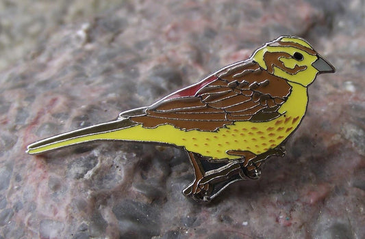 Yellow Hammer Yellowhammer Bunting European Garden Bird Wildlife Pin Badge