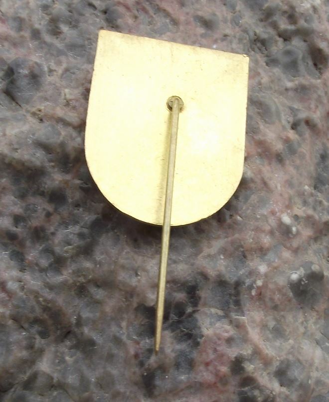 Vintage Bystrice nad Pernstejem Czech Heraldic Crest Coat of Arms Pin Badge - Badgecrazy