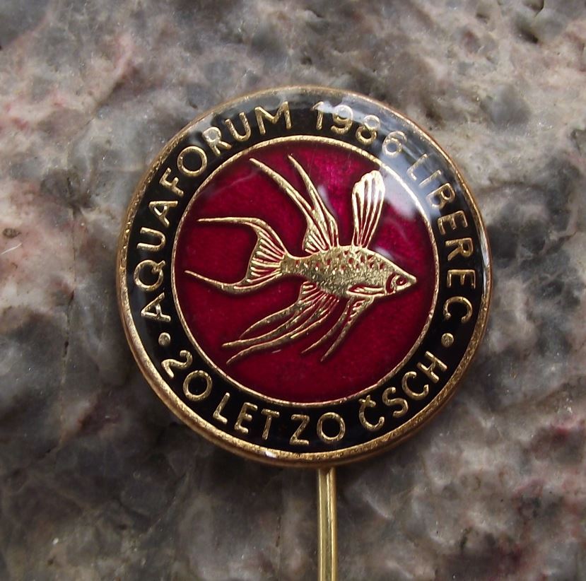 1986 Aquarium Tropical Fish Forum Czech Liberec Betta splendens Pin Badge - Badgecrazy