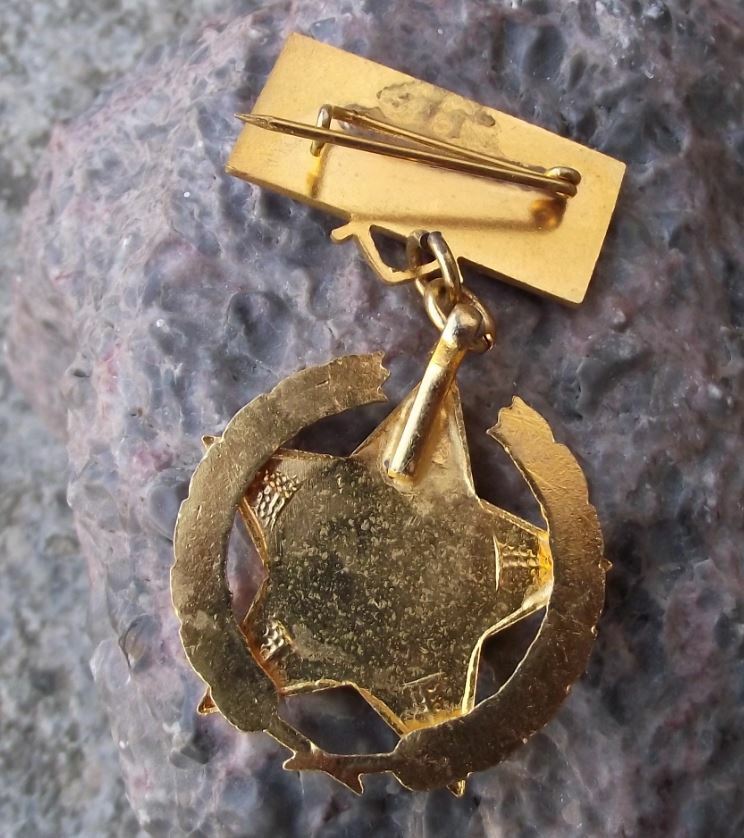Antique Torzsgarda Hungary Ministry of the Interior 35th Anniversary Pin Badge - Badgecrazy