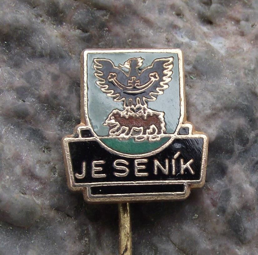 Antique Jesenik Brown Bear & Black Spread Eagle Heraldic Crest Shield Pin Badge - Badgecrazy