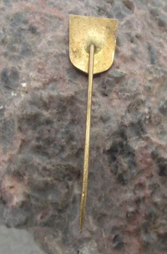 Antique Liberec Reichenberg City Heraldic Crest Tourist Souvenier Pin Badge - Badgecrazy