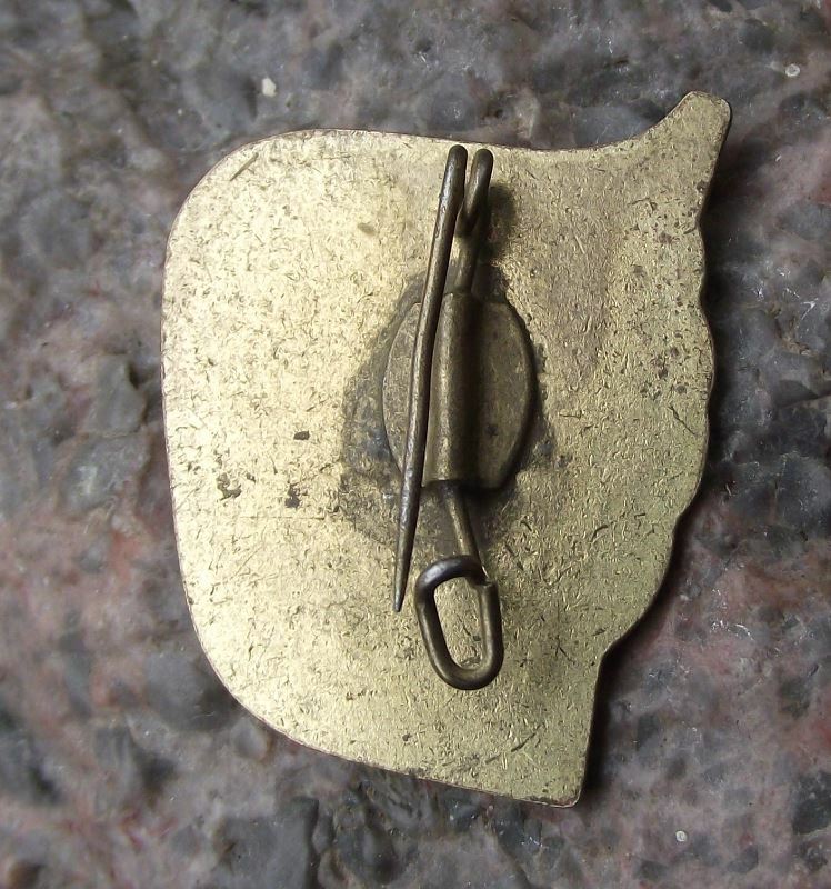 Vintage Thalmann Pioneer Youth Movement Young Tourist Camping Tent DDR Pin Badge - Badgecrazy