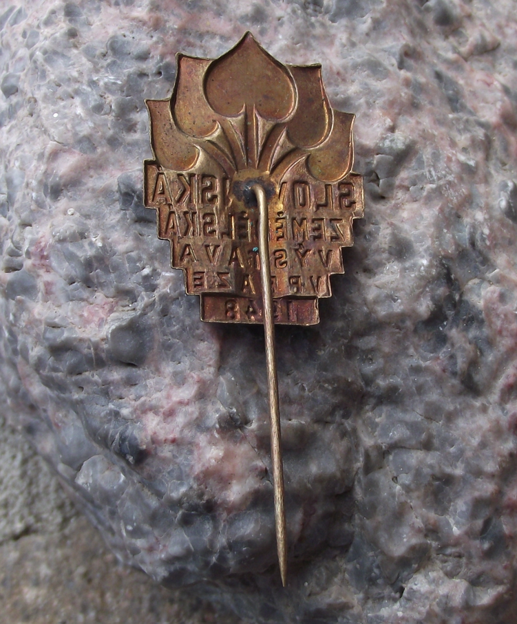 1948 National Slavic Agricultural Fair Show Expo Prague Farming Farm Pin Badge