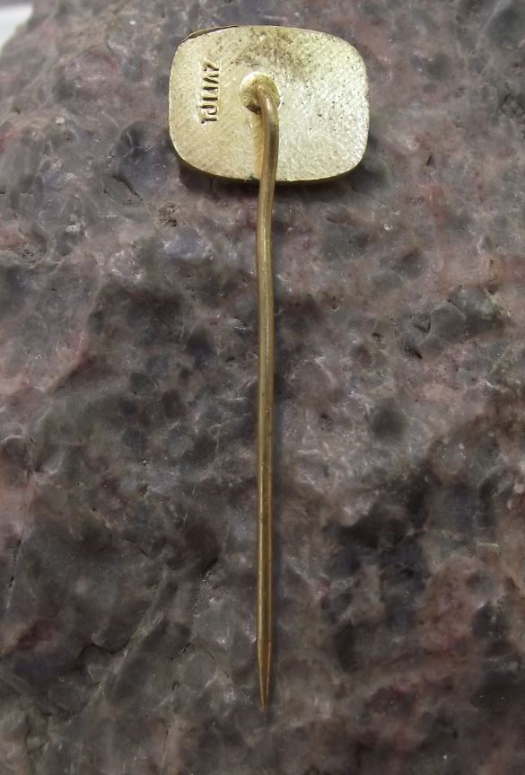 Ceska Televize Brno Czech State Television TV Broadcasting Company Pin Badge - Badgecrazy