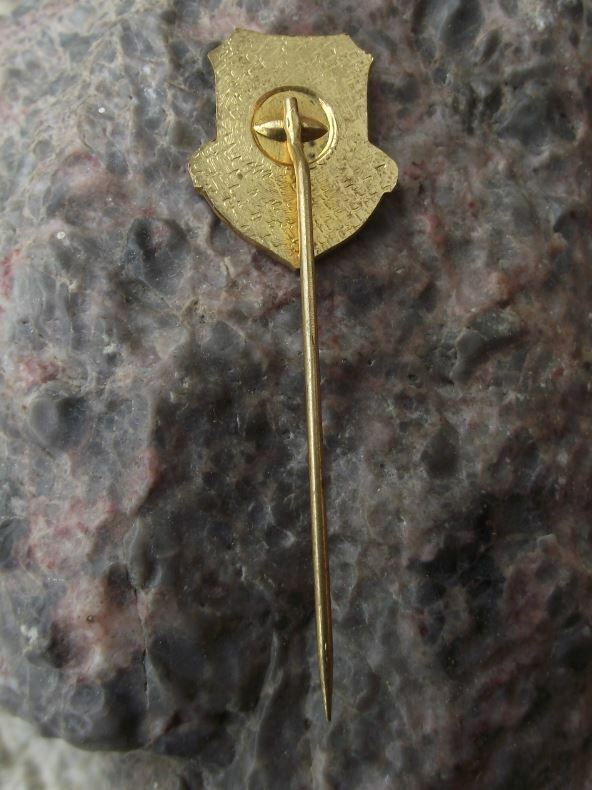 Antique Zarnovica Slovakia Heraldic Crest Coat of Arms Souvenier Pin Badge - Badgecrazy