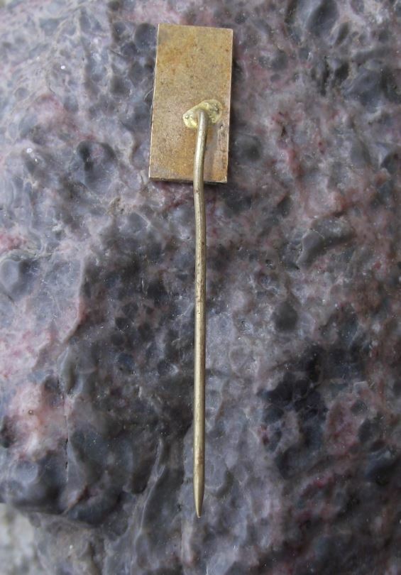 Antique Zdar nad Sazavou Czech Museum of Books Printing Press Pin Badge - Badgecrazy
