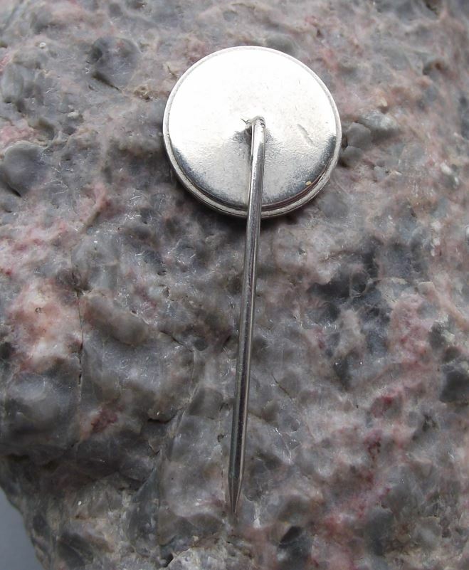 Vintage Folex Suisse Swiss Coatings X Ray Photographic Plates Pin Badge - Badgecrazy