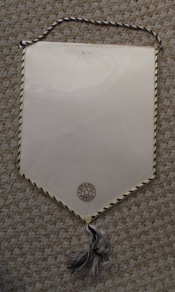 1966 RSC Anderlecht Kampionen Van Belgie 1965-1966 Belgian Champion Pennant Flag - Badgecrazy