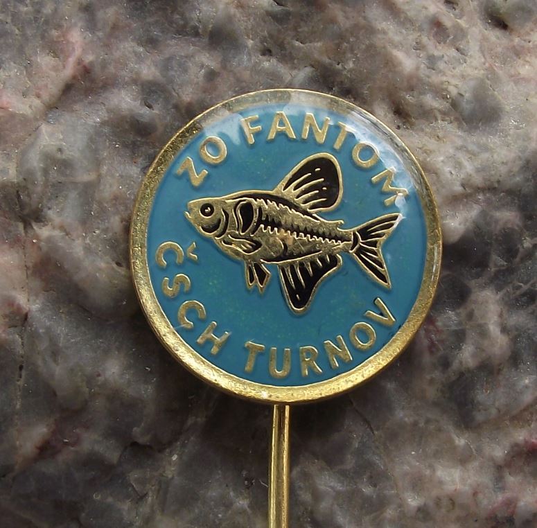 Antique Aquarium Tropical Fish Black Phantom Tetra Club Turnov Pin Badge - Badgecrazy