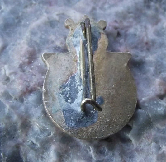 1959 VI 6th Hungary Music Festival Hungarian Concert Musical Harp Logo Pin Badge - Badgecrazy