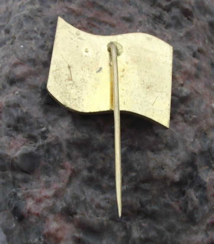 Vintage Ceskolipsko Lipno Lake Dam Boat Yacht Czech Tourist Sailing Pin Badge - Badgecrazy