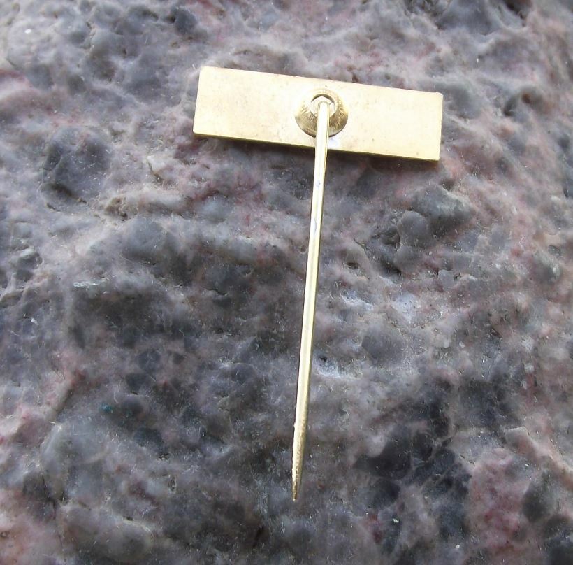 Antique Caroliner Girls Name Engineering Company Advertising Pin Badge - Badgecrazy