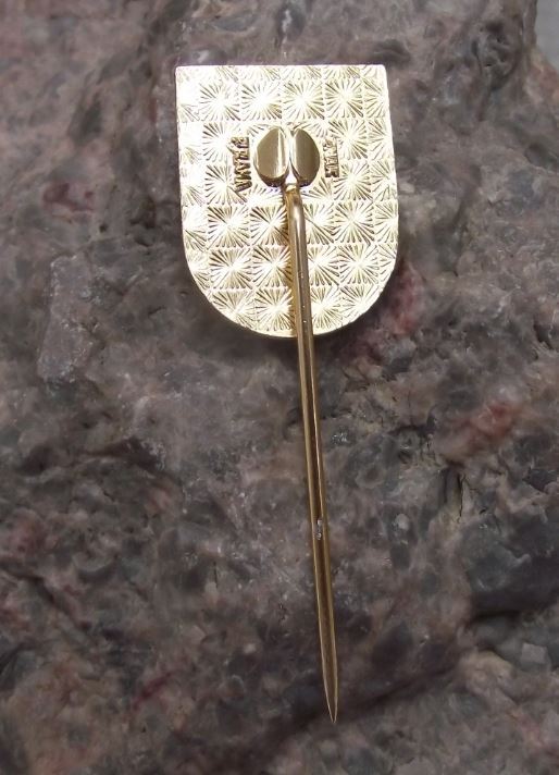 Usti nad Labem Lion with Knight Helmet Heraldic Crest Coat of Arms Pin Badge - Badgecrazy