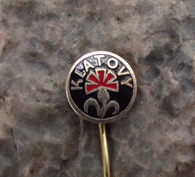 Klatovy Klattau Czech Town Red Carnation Communist Party Flower Symbol Pin Badge - Badgecrazy