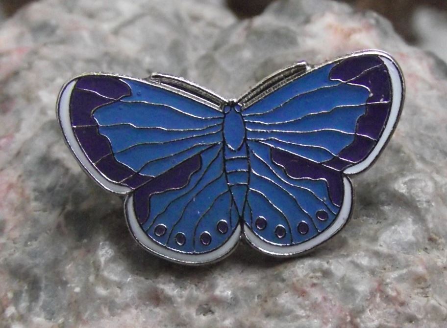 North American Blue Butterfly Lycaenidae Insect Brooch Pin Badge - Badgecrazy