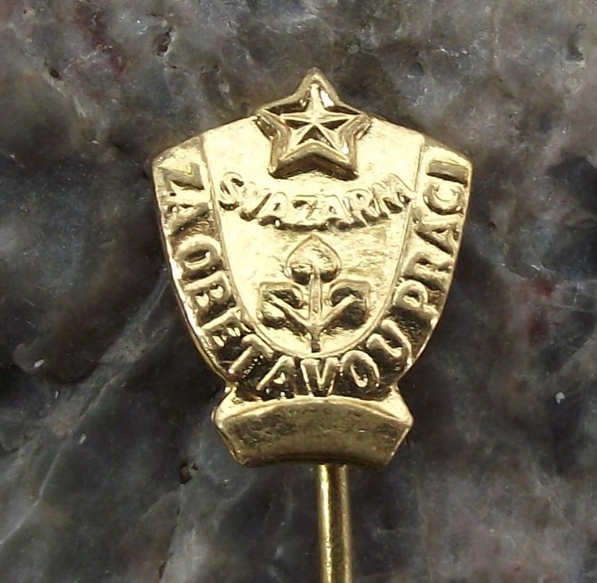 Vintage Svazarm Czechoslovakia Military Cold War Army Self Sacrifice Pin Badge - Badgecrazy