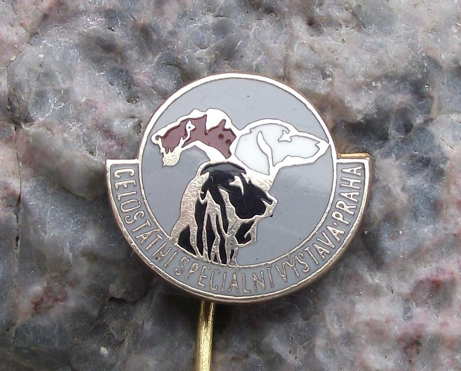 Vintage All State Specialist Dog Breeders Show Czechoslovakia Pin Badge - Badgecrazy