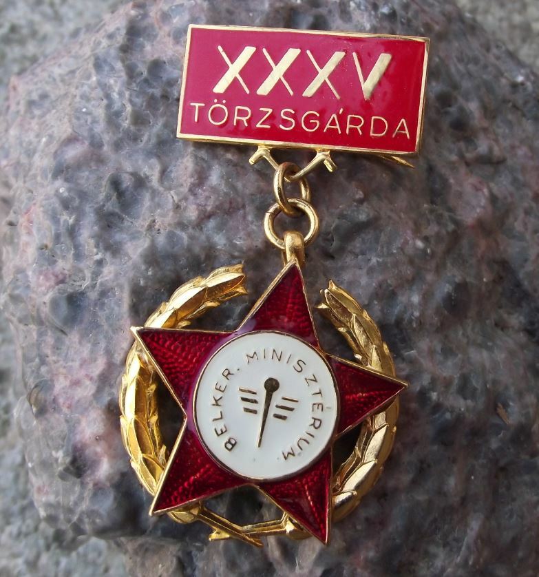 Antique Torzsgarda Hungary Ministry of the Interior 35th Anniversary Pin Badge - Badgecrazy
