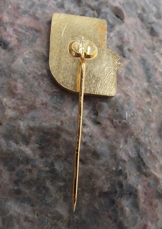 Antique CSRS CRS Czech Fishing Angling Association Liberec Trout Fish Pin Badge - Badgecrazy