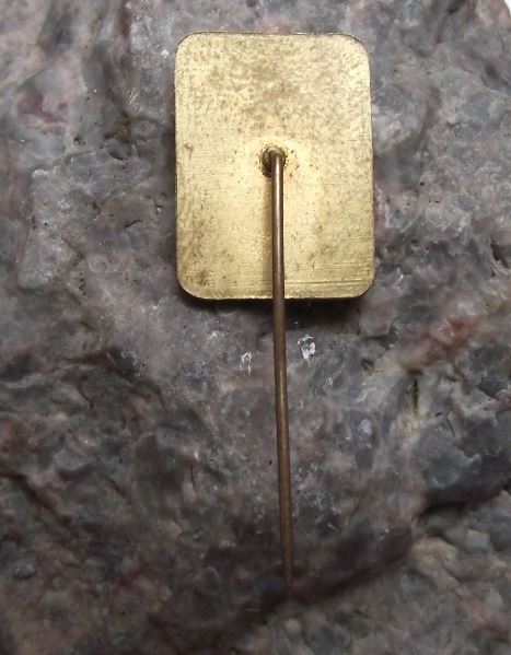 1988 European Championships Prague Czech Figure Skating Ice Skate Pin Badge - Badgecrazy