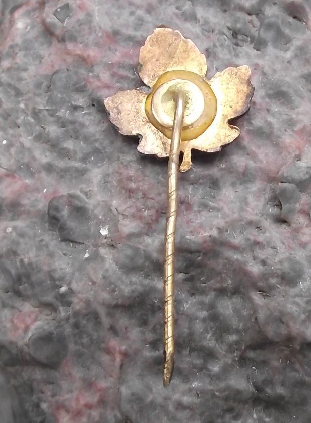 Antique Canadian Maple Leaf Fall Colours National Symbol Canada Flag Pin Badge - Badgecrazy