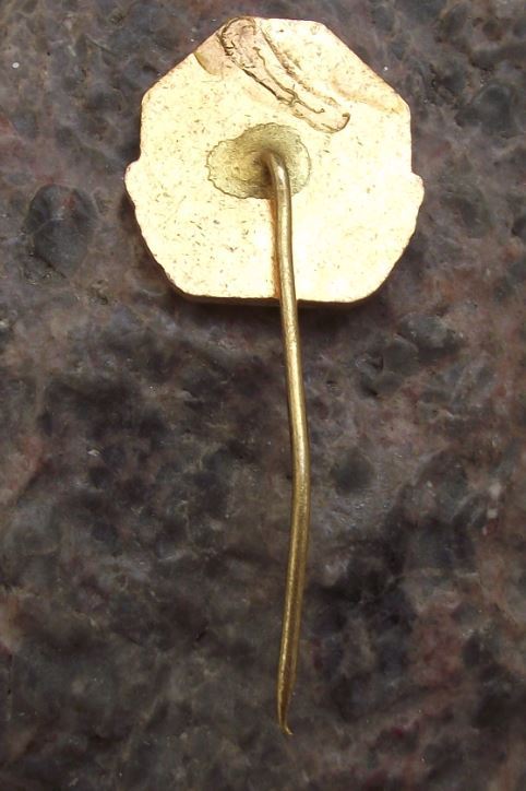 1980 International Dog Breeders Club Show Event Brno 25th Anniversary Pin Badge - Badgecrazy