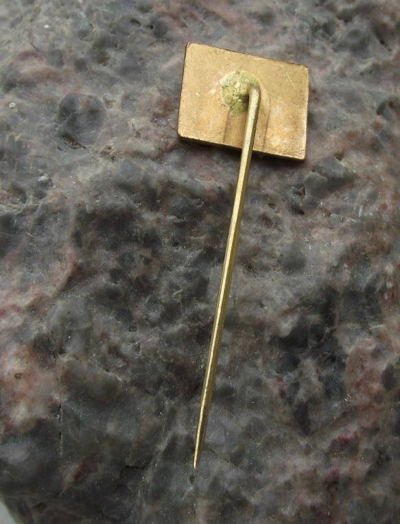 Antique Zatec Czechoslovakia Town of Brewing Beer Hops Souvenier Pin Badge - Badgecrazy