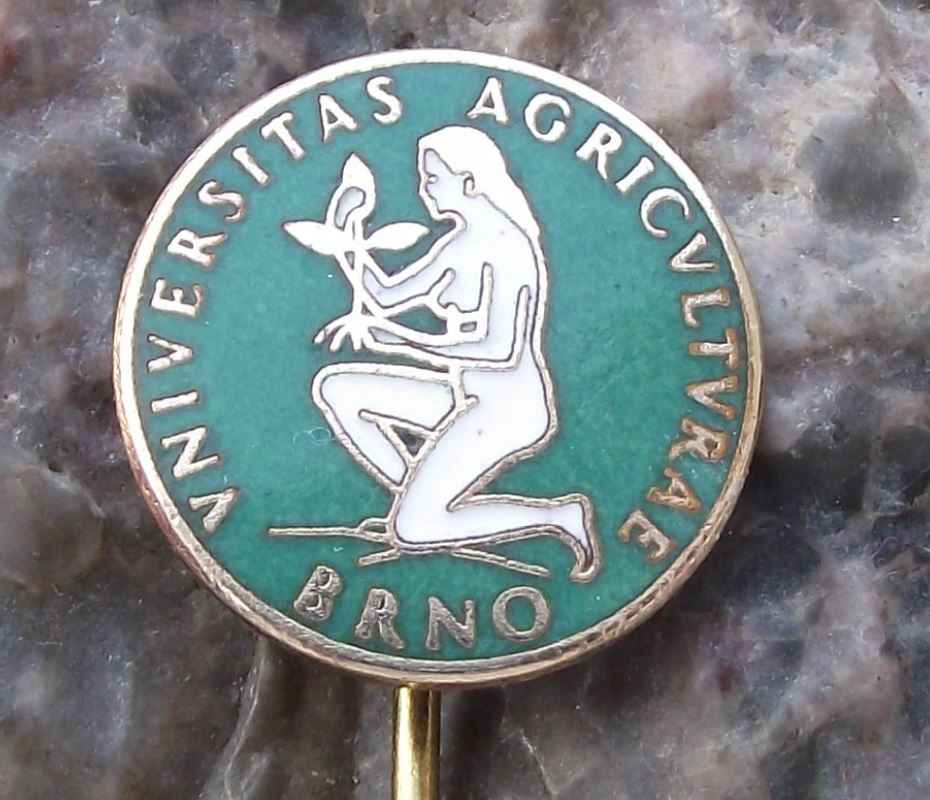 Antique University of Agriculture Brno Mendel Mother Earth Woman Plant Pin Badge - Badgecrazy