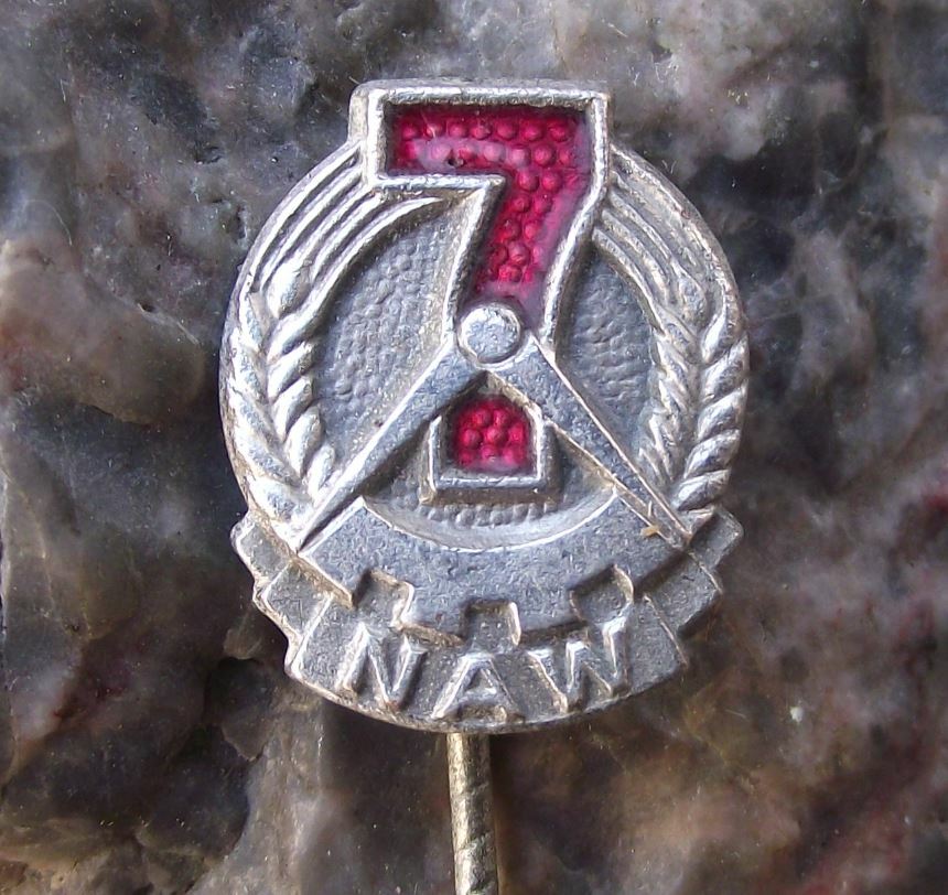 Vintage National Front East Germany NAW Nationales Aufbauwerk Compass Pin Badge - Badgecrazy