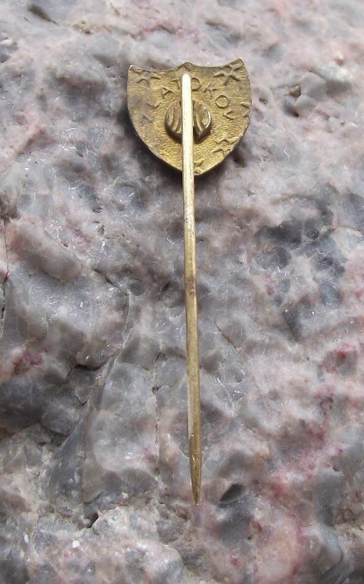 Vintage BP British Petrol Oil Gas Renewable Energy Company Shield Logo Pin Badge - Badgecrazy