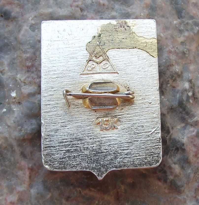 Antique Vladimir Soviet Union Coat of Arms Heraldic City Crest Lion Pin Badge - Badgecrazy