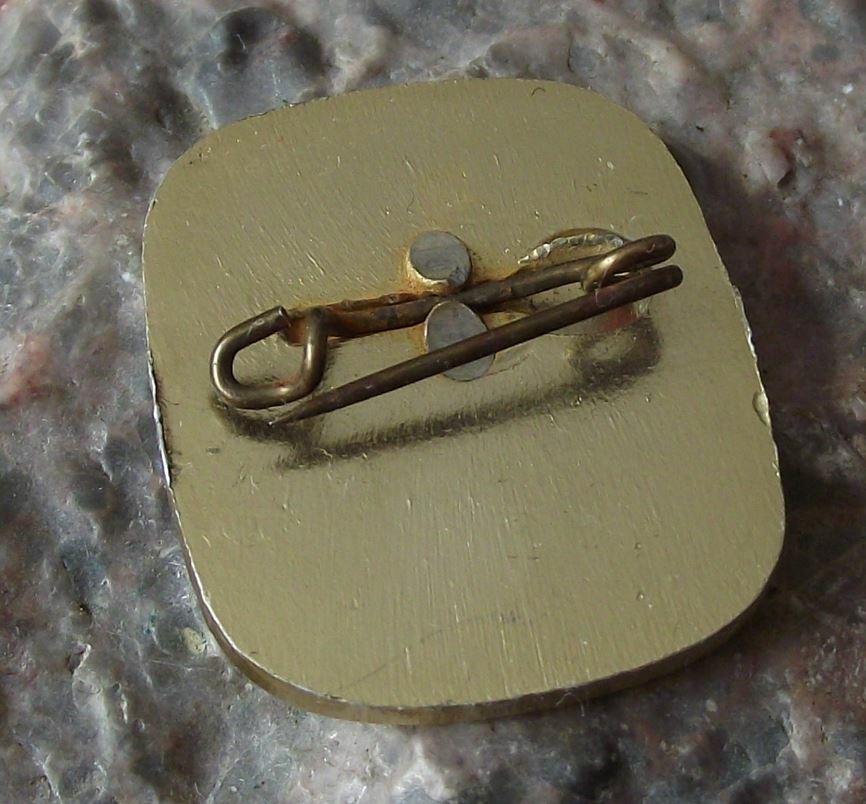 1966 East Germany DDR GDR 17th Anniversary German GDR Commemorative Pin Badge - Badgecrazy