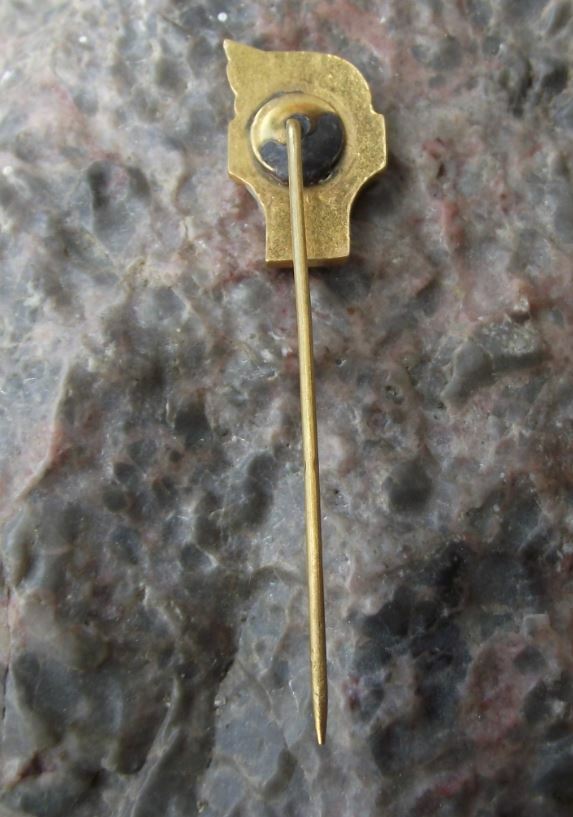 Antique Poland Polish ZMW Youth Association Organisation Flames Logo Pin Badge - Badgecrazy