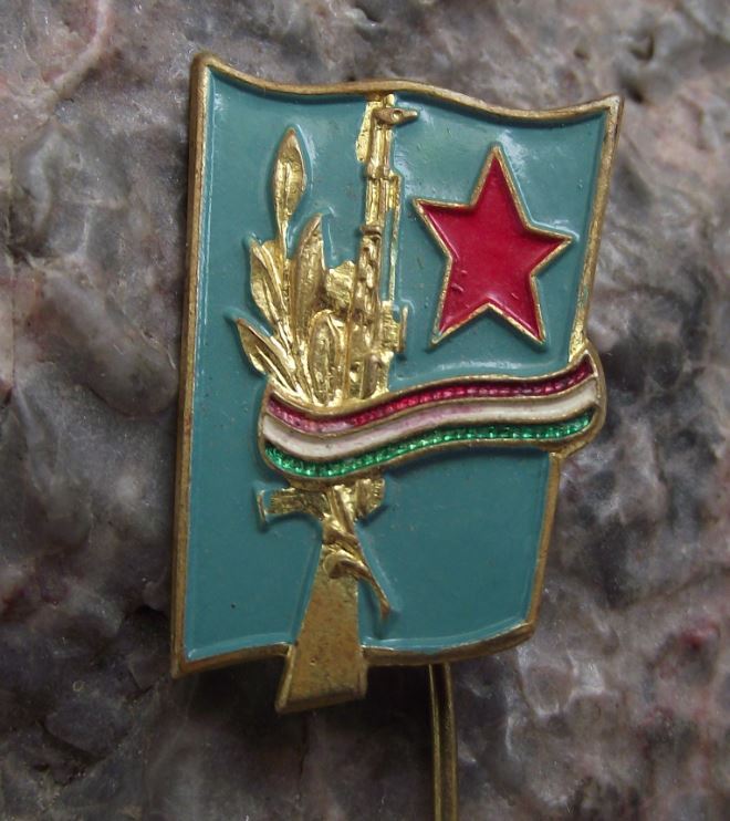 Hungary Cold War Warsaw Pact Automatic Rifle Machine Gun Army Infantry Pin Badge - Badgecrazy