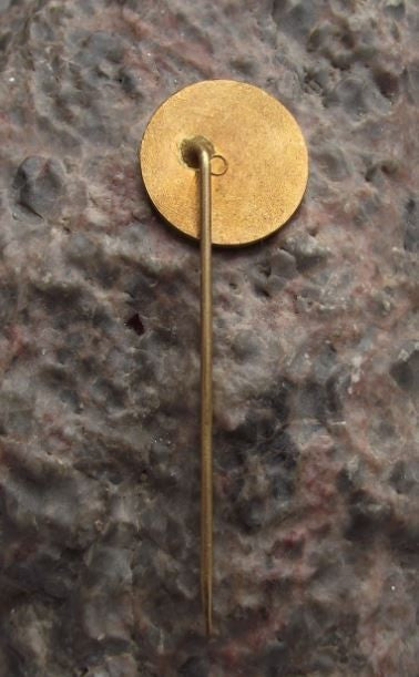 Antique Czech National Museum Narodni Museum Tourist Souvenier Pin Badge - Badgecrazy