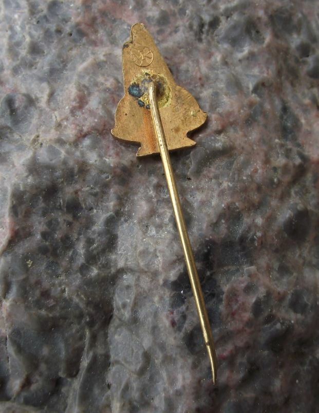 Antique Lazne Jesenik Grafenberg Czechoslovakia Spa Town Fountain Pin Badge - Badgecrazy