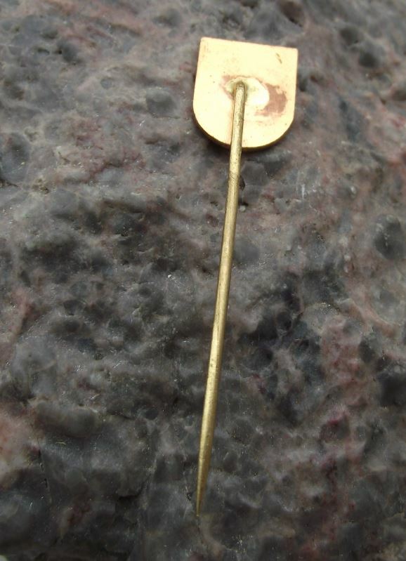 Antique Ledec nad Sazavou Czech Coat of Arms Heraldic Crest Shield Pin Badge - Badgecrazy