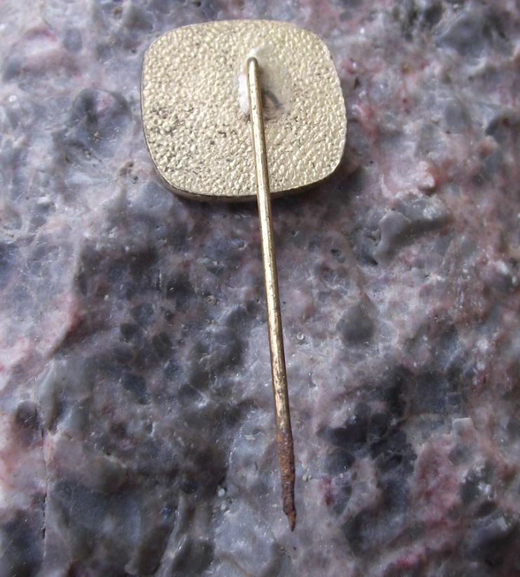 Antique Berlin State Museum Germany Staatliche Museen Souvenier Pin Badge - Badgecrazy