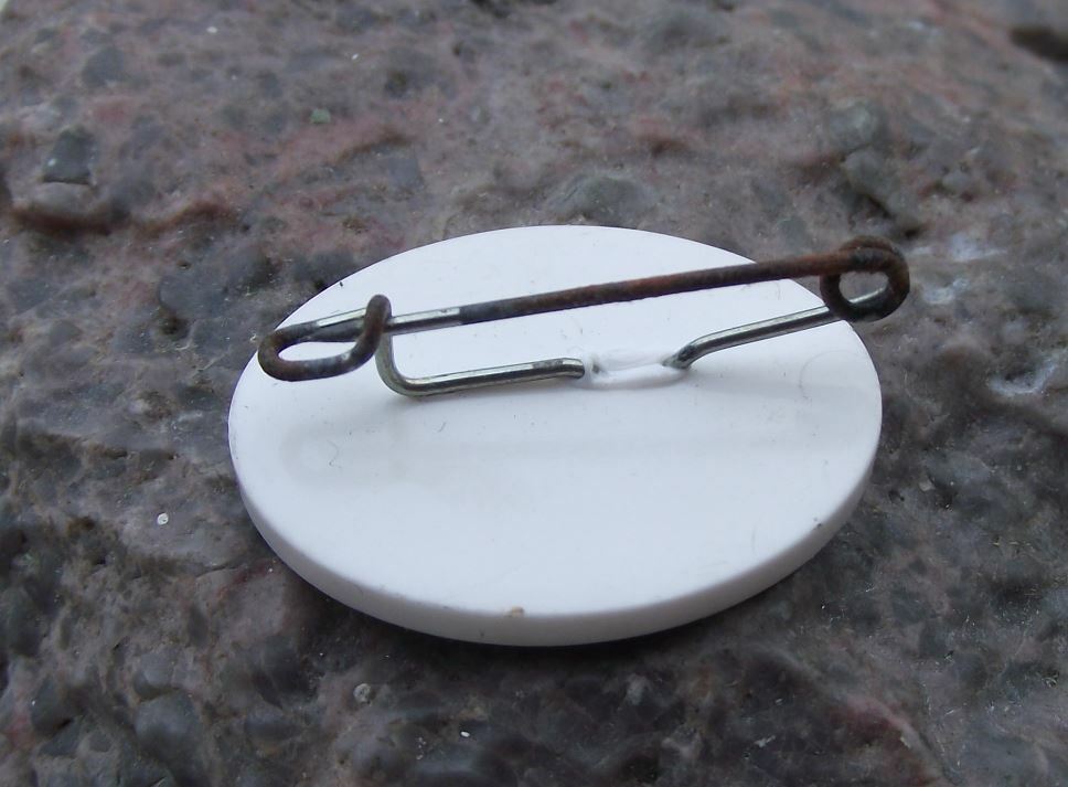 International Vehicle Registration Code Germany East German Letter D Pin Badge - Badgecrazy