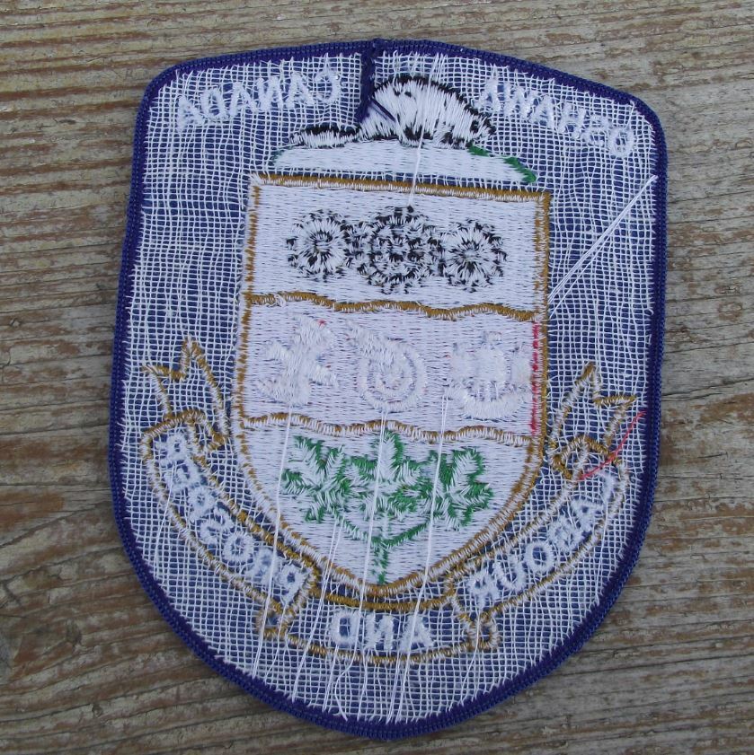 Oshawa Canada Ontario Labour and Prosper Motto Town City Crest Clothes Patch - Badgecrazy
