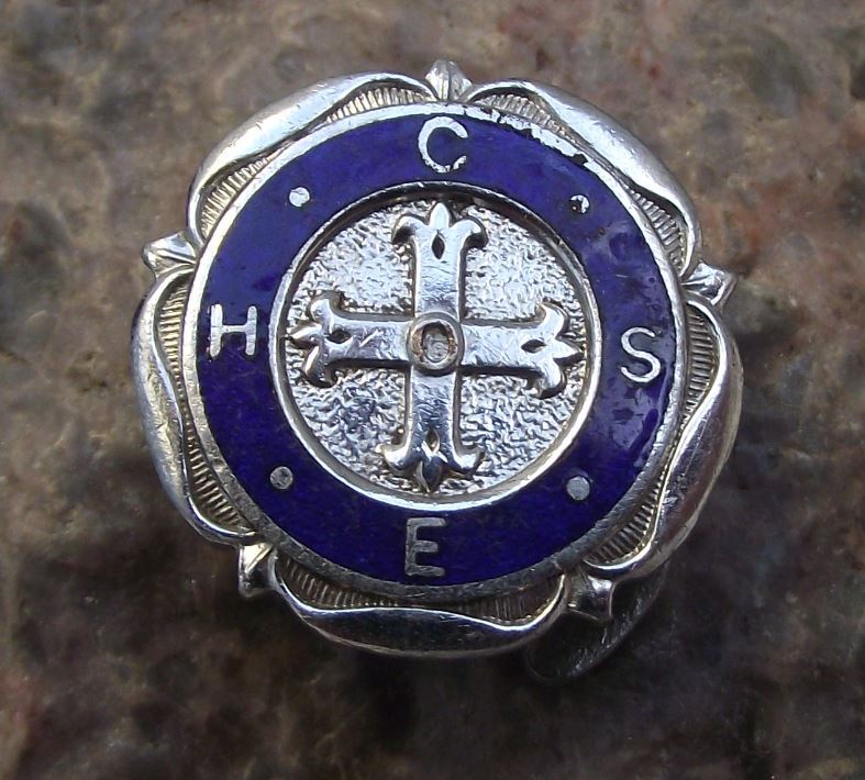 Confederation Health Service Employees CHSE Nurse Uniform Jacket Buttonhole - Badgecrazy