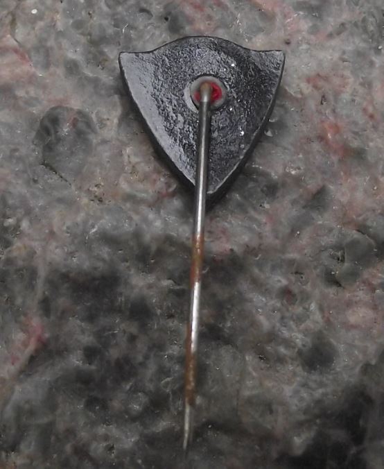 1950s Botafogo de Futebol e Regatas White Star Football Team Crest Pin Badge