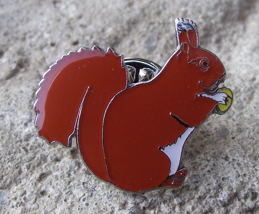 American Red Squirrel Pine Nut Woodland Tree Animal Wildlife Brooch Pin Badge - Badgecrazy