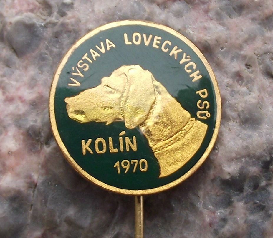 1970 All State Hunting Dog Show Kolin Czechoslovakia Hunters Hunt Pin Badge - Badgecrazy